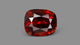 Sri-Lankan Hessonite (Gomed) 11.17 Carats / 12.41 Ratti
