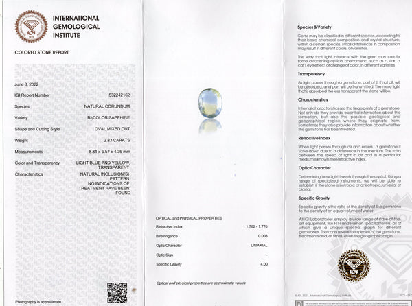 NATURAL PITAMBARI 2.83 CARATS - Media 6