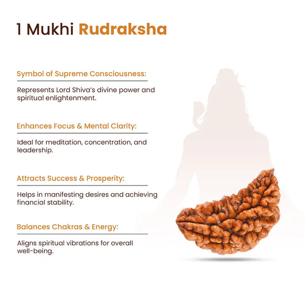 1 Mukhi Rudraksha Benefits sign
