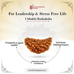
                    
                      1 Mukhi Rudraksha (Ek Mukhi) with certificate by Acharya Lavbhushan

                    
                  