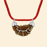 
                    
                      1 Mukhi Rudraksha (Ek Mukhi) with pendant by Acharya Lavbhushan

                    
                  