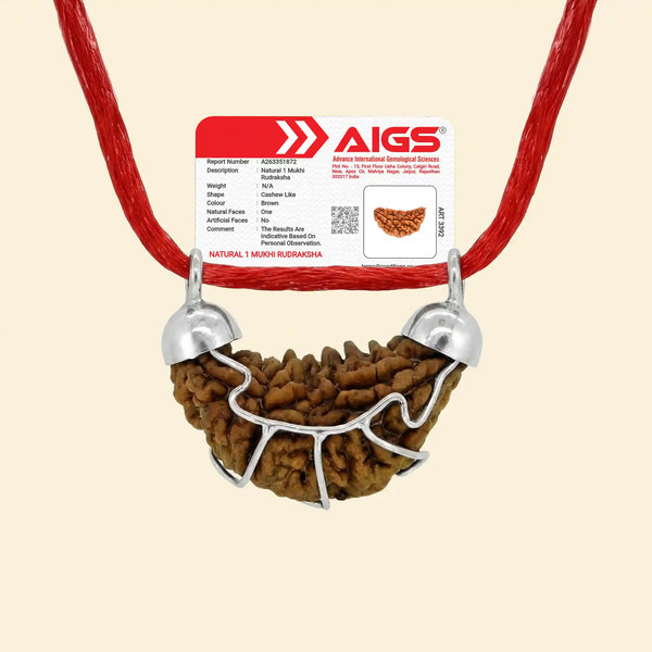 1 mukhi rudraksha acharya lavbhushan, ek mukhi rudraksha, shiva rudraksha bead, supreme clarity symbol, spiritual awakening bead, vedic rudraksha, conscious living support, sacred rudraksha