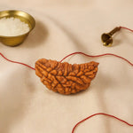 
                    
                      1 Mukhi Rudraksha (Ek Mukhi) with certificate by Acharya Lavbhushan

                    
                  