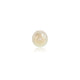 Natural Fresh Water Pearl - 5.08 Carats