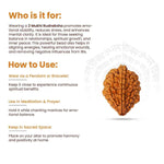 
                    
                      2 Mukhi Nepali Rudraksha for emotional harmony by Acharya Lavbhushan

                    
                  