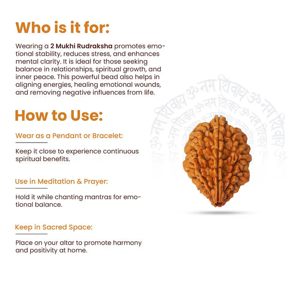 2 Mukhi Rudraksha-how to use