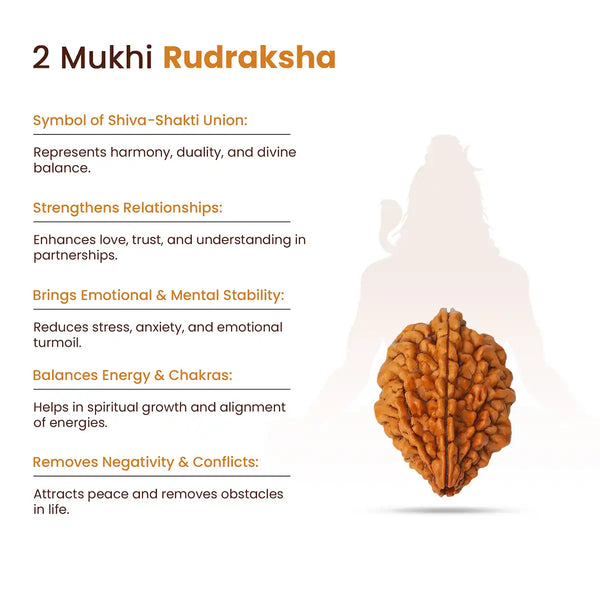 2 Mukhi Rudraksha-Benefits sign