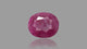 Natural Ruby (Manik) 9.96 Carats