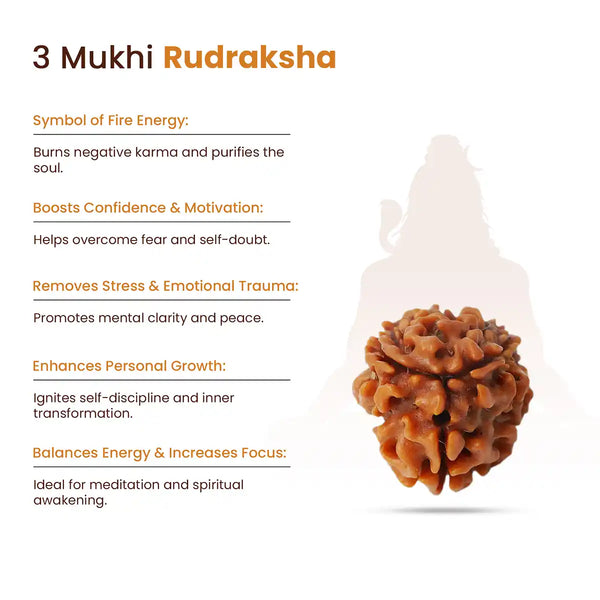3 Mukhi Rudraksha-Sign of Benefits