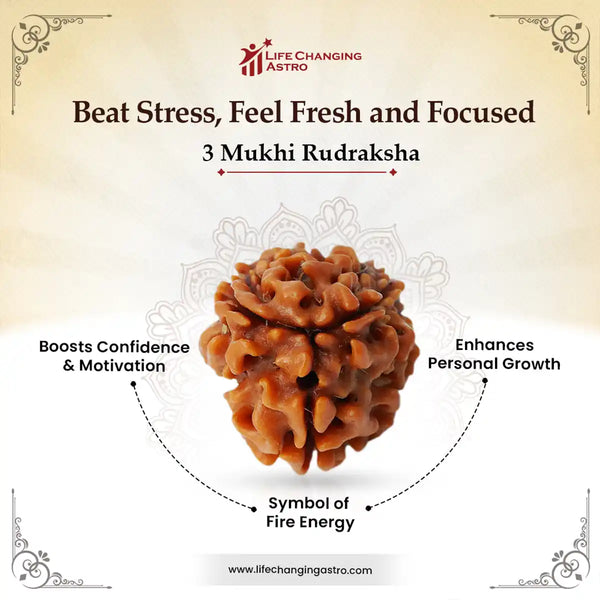 3 Mukhi Rudraksha-Benefits