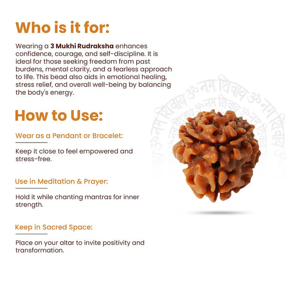 3 Mukhi Rudraksha-How to Use