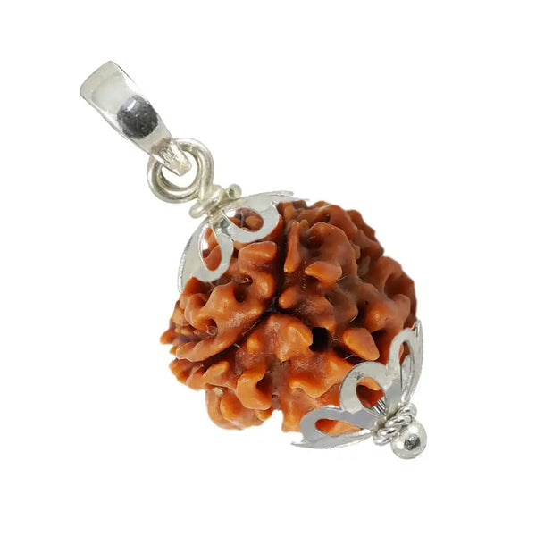 3 Mukhi Rudraksha With Pendent
