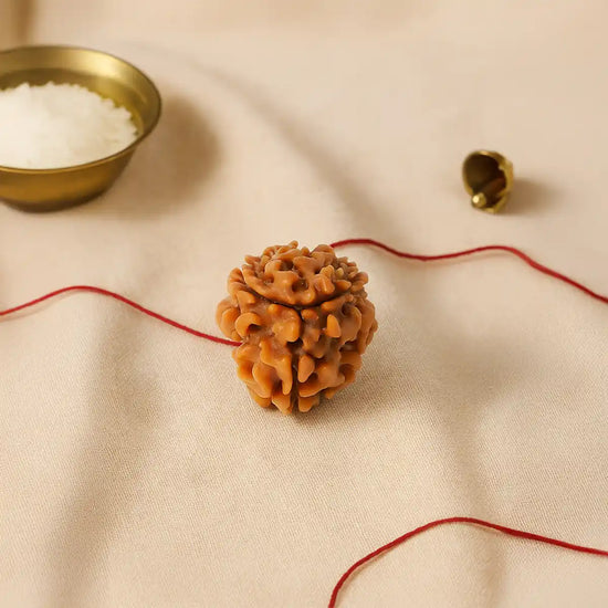 3 Mukhi Rudraksha (Agni Rudraksha) for confidence by Acharya Lavbhushan
