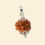 
                    
                      3 Mukhi Rudraksha (Agni Rudraksha) with pendant for confidence by Acharya Lavbhushan

                    
                  