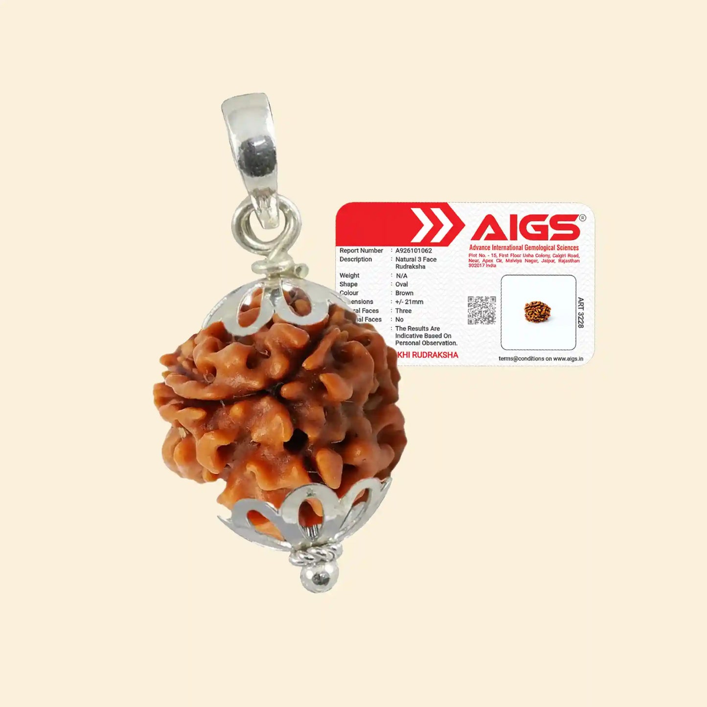 3 mukhi rudraksha acharya lavbhushan, agni rudraksha, confidence clarity symbol, fear guilt release bead, shiva rudraksha, spiritual balance bead, vedic rudraksha, conscious living support