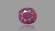 Natural Ruby (Manik) 4.60 Carats