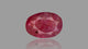 Burmese Ruby (Manik) 5.84 Carats