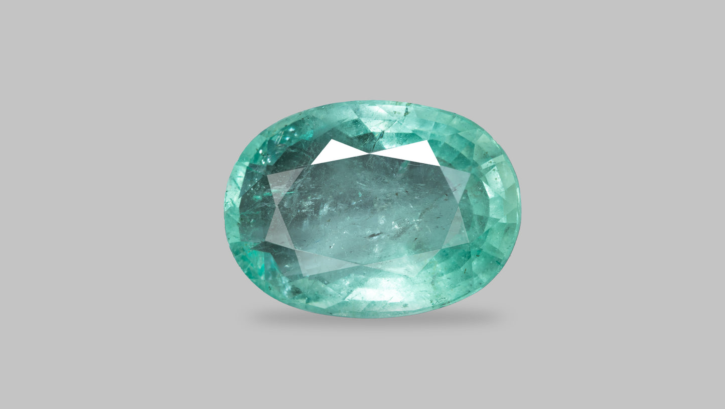 Natural Columbian Emerald (Panna) 8.76 Carats - Emerald (Panna)