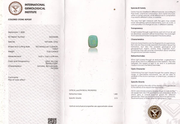 NATURAL OPAL 12.25  CARATS - Media 6