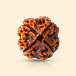 
                    
                      4 Mukhi Rudraksha (Brahma Rudraksha) for intellect by Acharya Lavbhushan

                    
                  