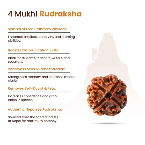 4 Mukhi Rudraksha Benefits