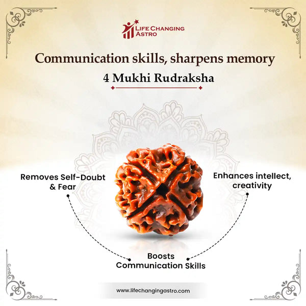 4 Mukhi Rudraksha Benefits 