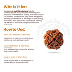 
                    
                      4 Mukhi Rudraksha (Brahma Rudraksha) for intellect by Acharya Lavbhushan

                    
                  