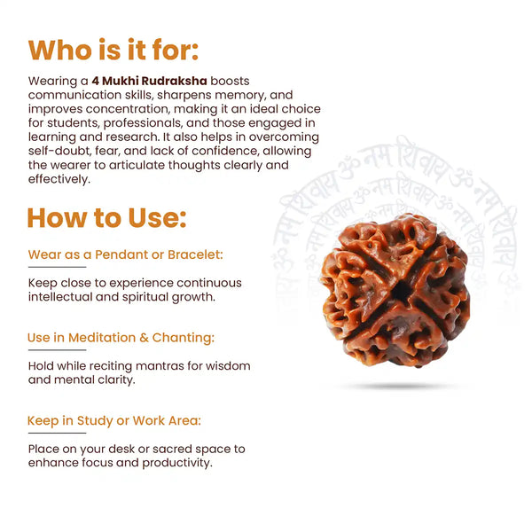 4 Mukhi Rudraksha-how to use