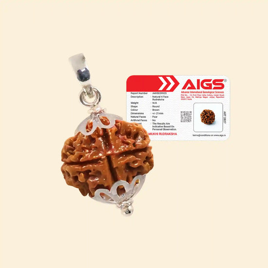 4 Mukhi Rudraksha (Brahma Rudraksha) with Pendant and Certificate for intellect by Acharya Lavbhushan
