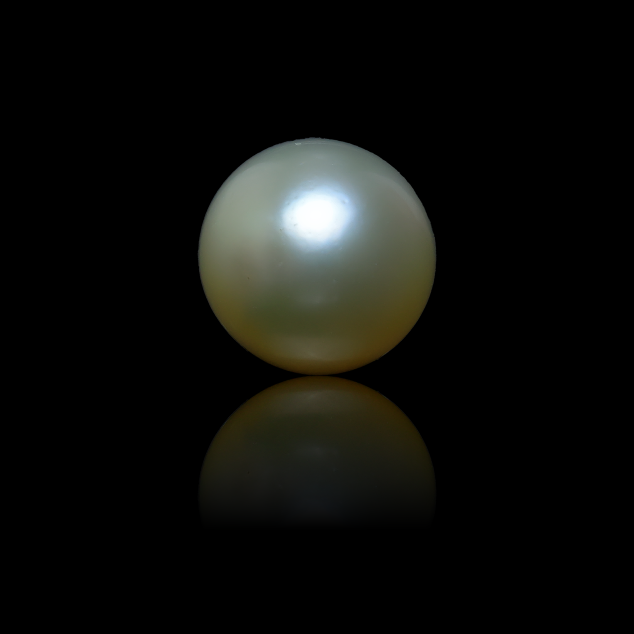 South Sea Pearl - 6.31 Carats