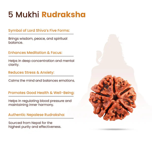 5 Mukhi Rudraksha-Benefits sign