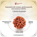 
                    
                      5 Mukhi Nepali Rudraksha for peace and balance by Acharya Lavbhushan

                    
                  