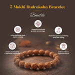 
                    
                      5 Mukhi Rudraksha Bracelet for daily wear by Acharya Lavbhushan

                    
                  