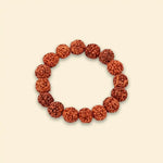 
                    
                      5 Mukhi Rudraksha Bracelet for daily wear by Acharya Lavbhushan

                    
                  