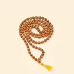 
                    
                      5 Mukhi Rudraksha Mala 108 beads for meditation by Acharya Lavbhushan

                    
                  