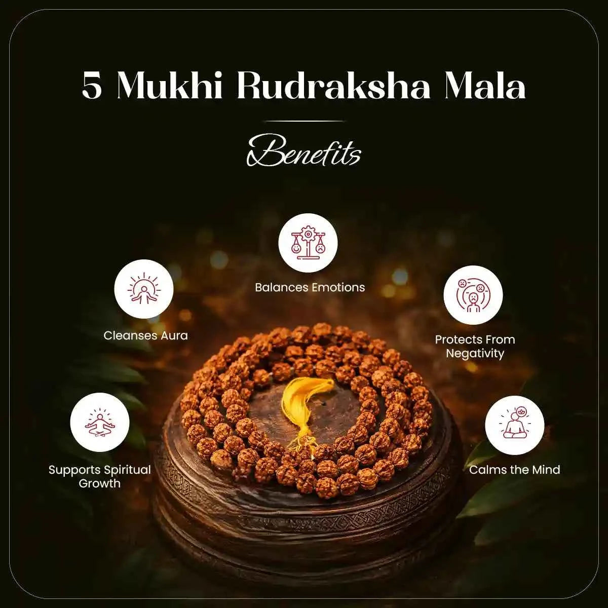 
                    
                      5 mukhi rudraksha mala acharya lavbhushan, rudraksha mala 108 beads, shiva rudraksha mala, meditation japa mala, spiritual prayer beads, focus calm energy, lightweight rudraksha mala, daily sadhana mala, benefits
                    
                  