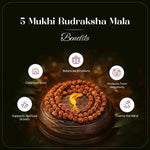 
                    
                      5 Mukhi Rudraksha Mala 108 beads for meditation by Acharya Lavbhushan

                    
                  