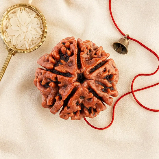 5 Mukhi Nepali Rudraksha for peace and balance by Acharya Lavbhushan
