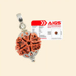 
                    
                      5 Mukhi Nepali Rudraksha with Pendant and Certificate for peace and balance by Acharya Lavbhushan

                    
                  