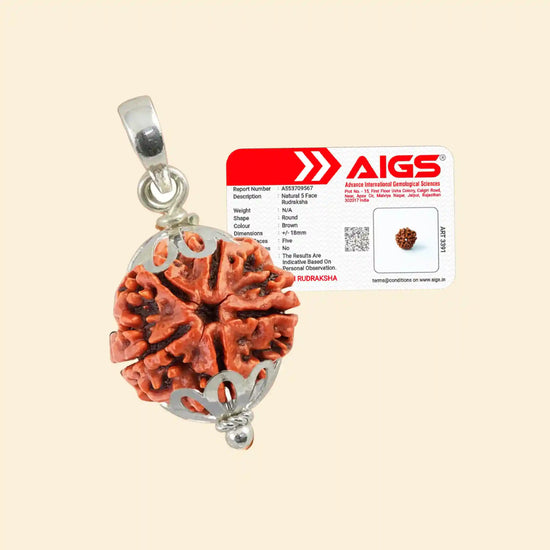 5 Mukhi Nepali Rudraksha with Pendant and Certificate for peace and balance by Acharya Lavbhushan
