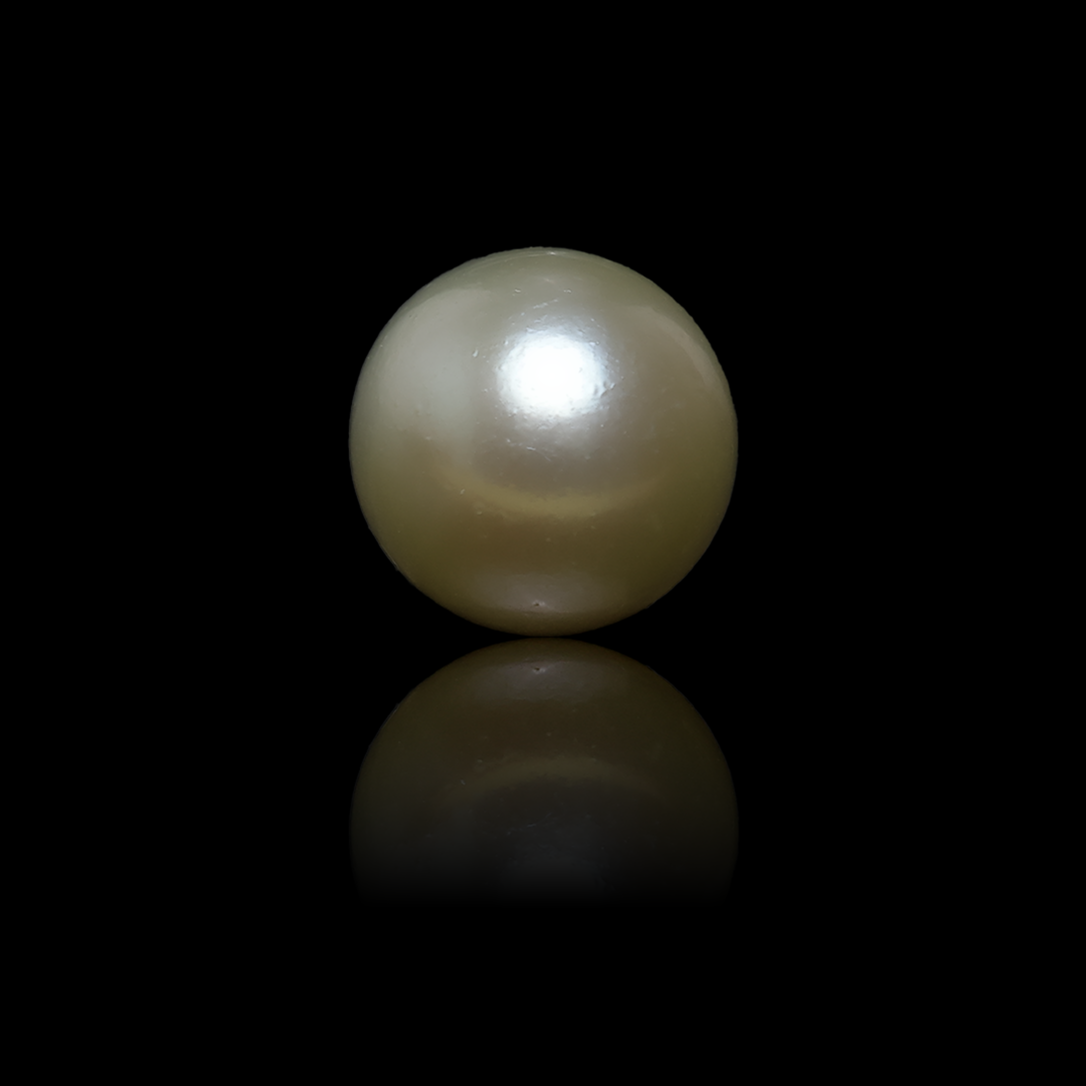 South Sea Pearl - 6.39 Carats