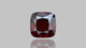NATURAL HESSONITE (GOMED) 15.51 CARATS