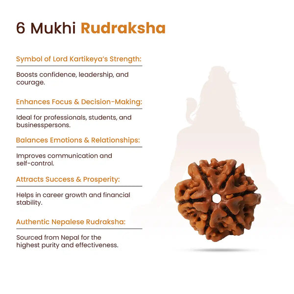 6 Mukhi rudraksha Benefits Sign