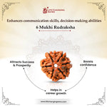 
                    
                      6 Mukhi Rudraksha (Kartikeya Rudraksha) for confidence by Acharya Lavbhushan

                    
                  