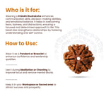 
                    
                      6 Mukhi Rudraksha (Kartikeya Rudraksha) for confidence by Acharya Lavbhushan

                    
                  