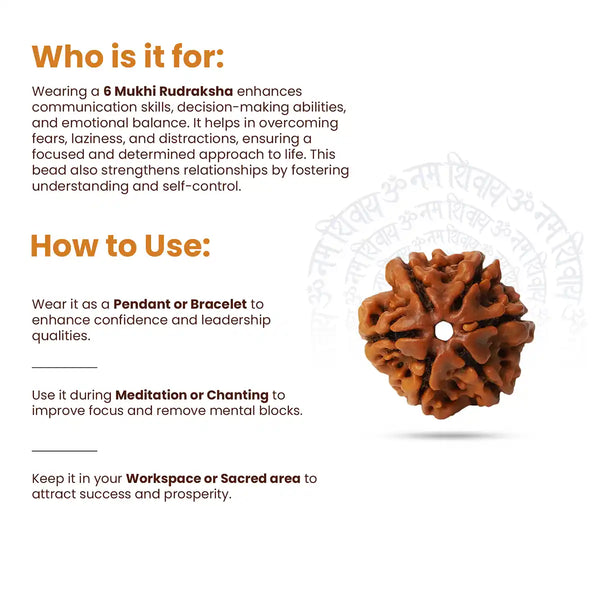 6 Mukhi rudraksha How to use