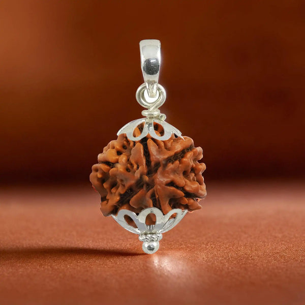6 Mukhi rudraksha with pendent