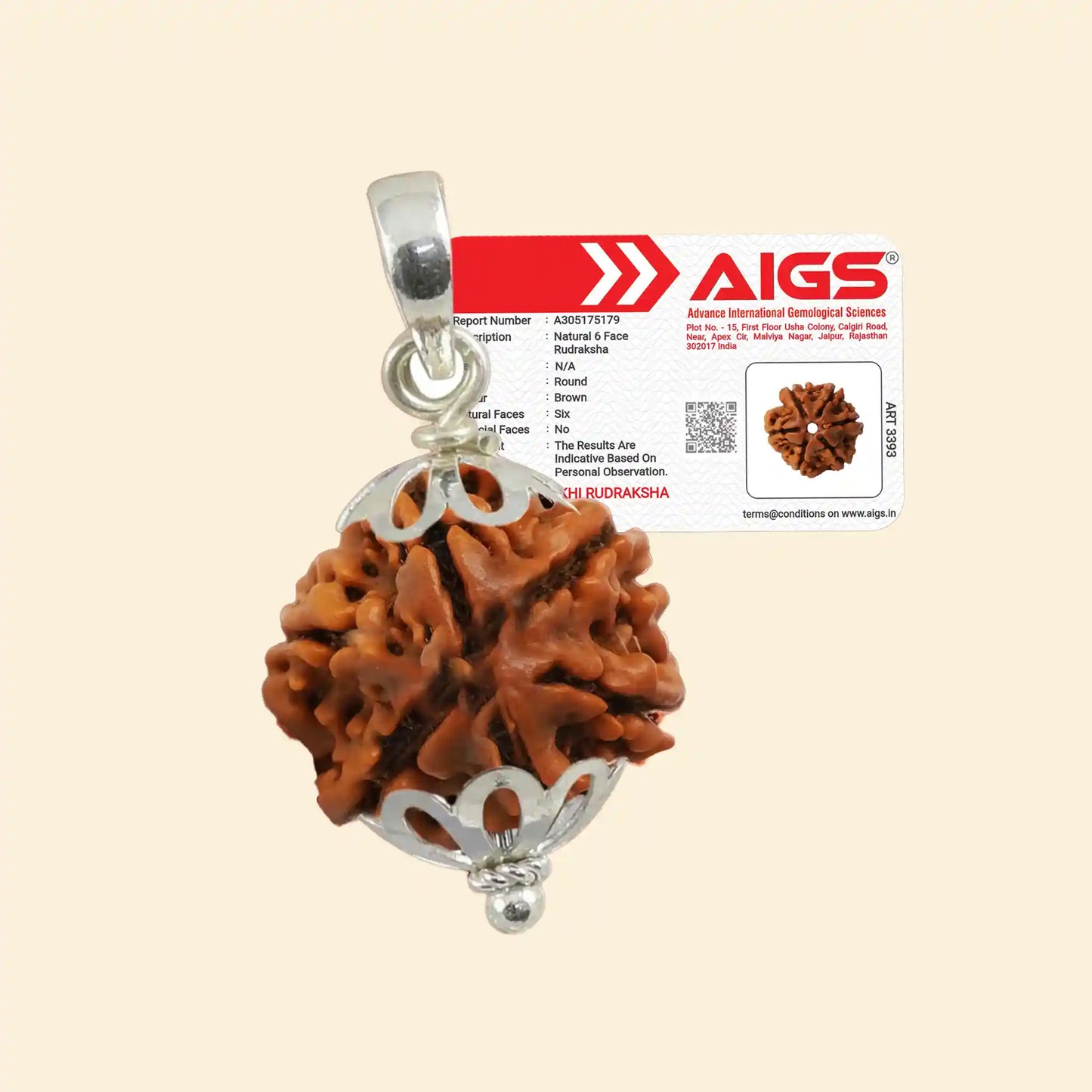 6 mukhi rudraksha acharya lavbhushan, kartikeya rudraksha, discipline confidence symbol, charm clarity bead, shiva rudraksha, spiritual balance bead, vedic rudraksha, conscious living support