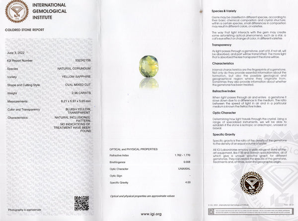 NATURAL PITAMBARI 2.96 CARATS - Media 5