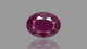 Natural Ruby (Manik) 7.30 Carats